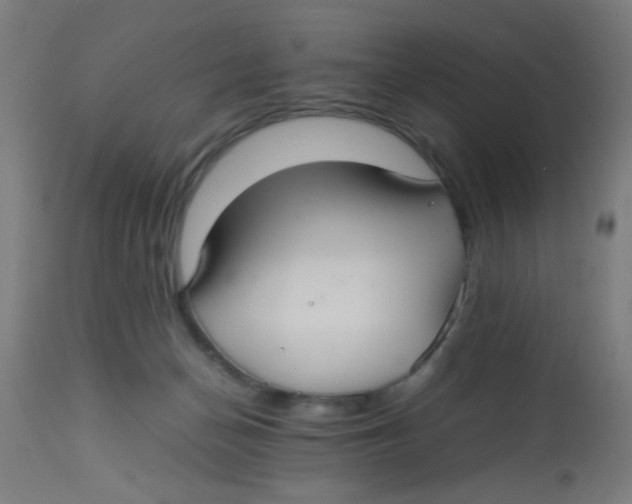 X0000113220174200910081350