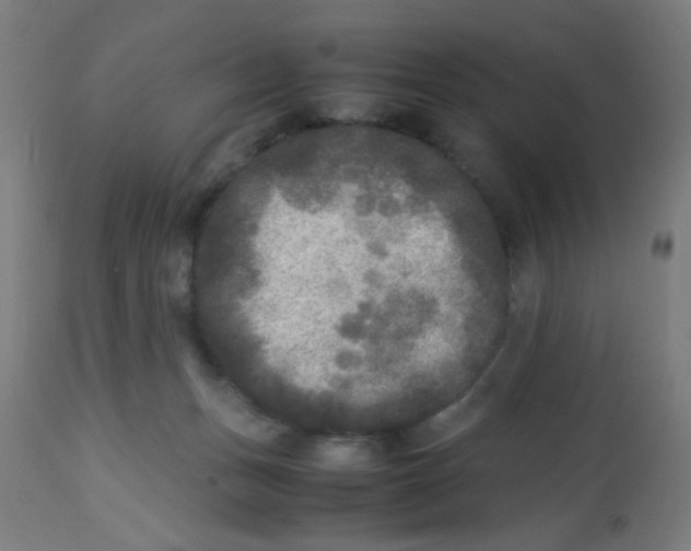 X0000113220175200910081350