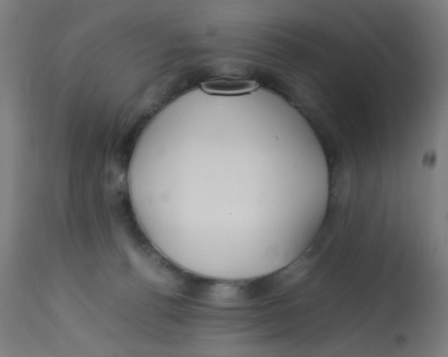 X0000113220176200910081350
