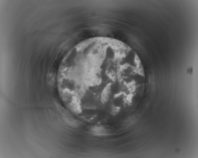 X0000113220177200910081350
