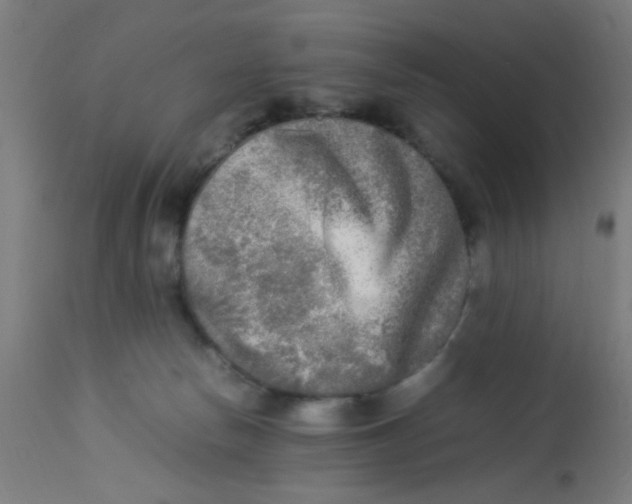 X0000113220178200910081350