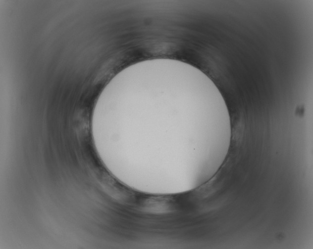 X0000113220179200910081350