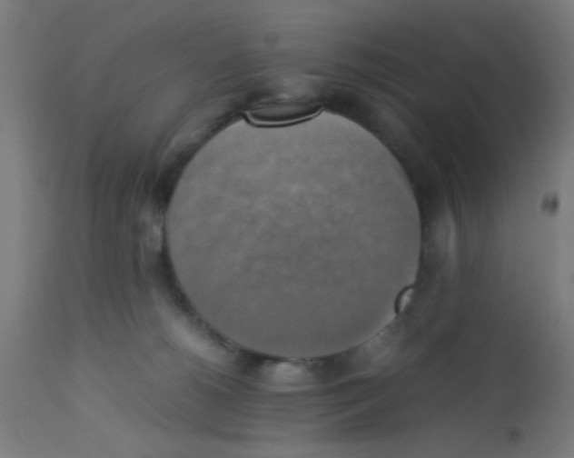 X0000113220180200910081350