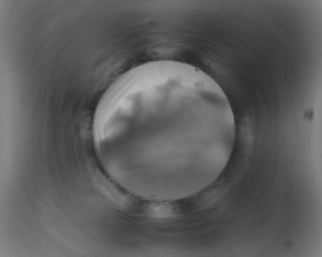 X0000113220181200910081350