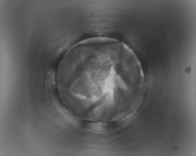X0000113220182200910081350