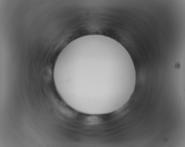X0000113220183200910081350