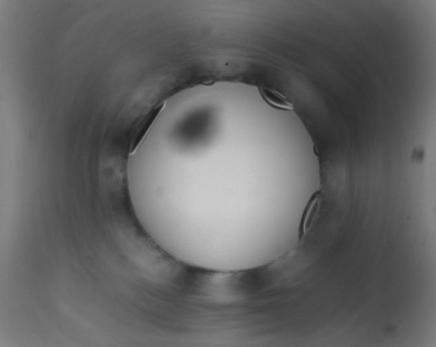 X0000113220184200910081350