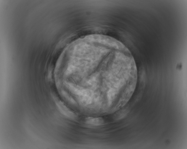 X0000113220185200910081350