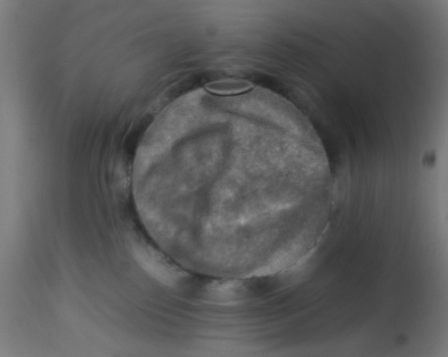 X0000113220186200910081350