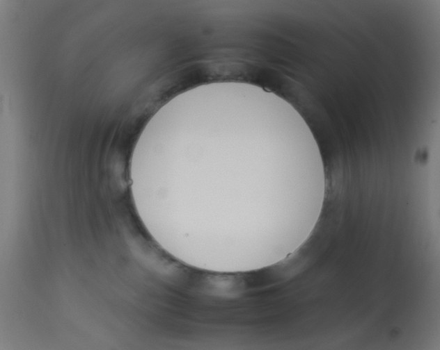 X0000113220187200910081350