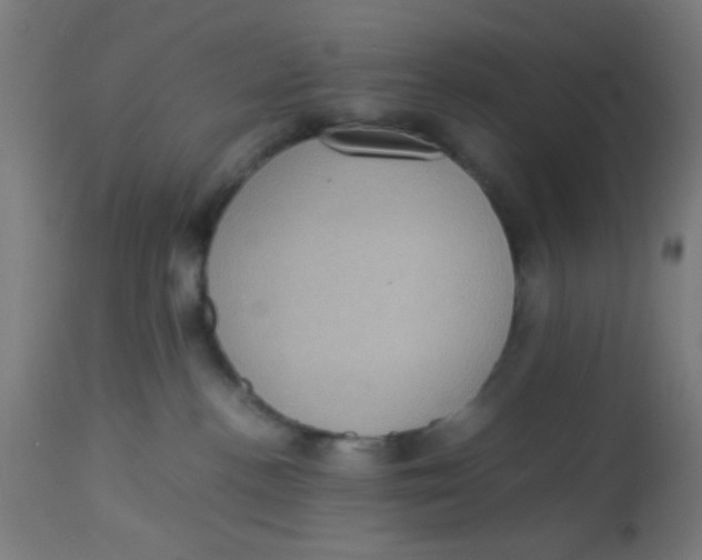 X0000113220188200910081350