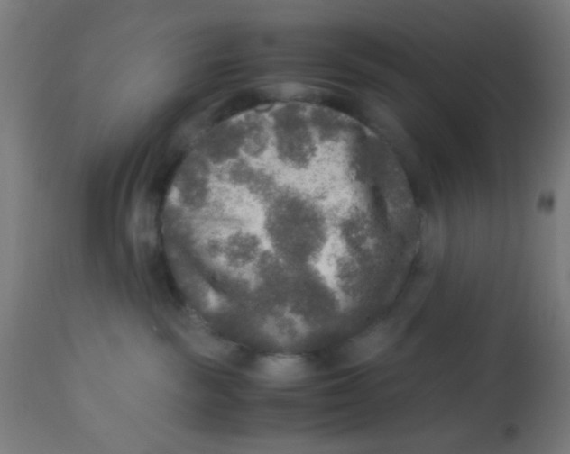 X0000113220189200910081350