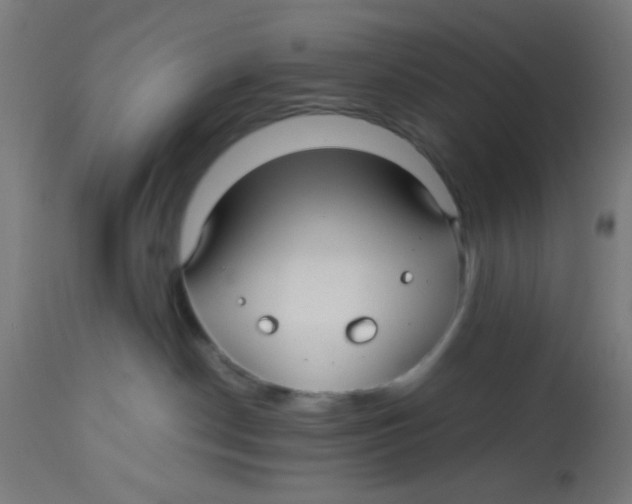 X0000113220190200910081350