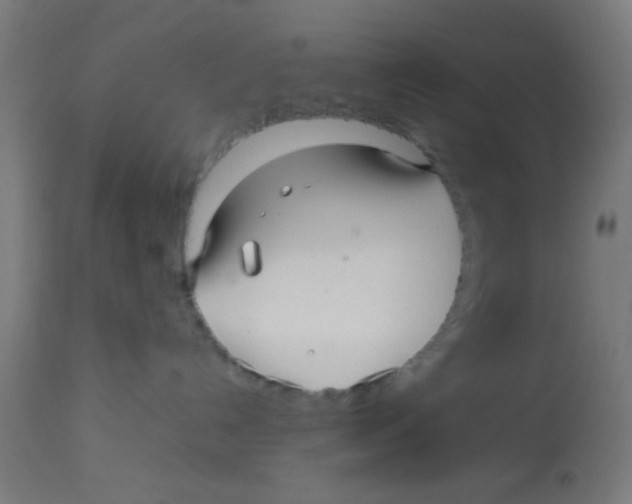 X0000113220192200910081350