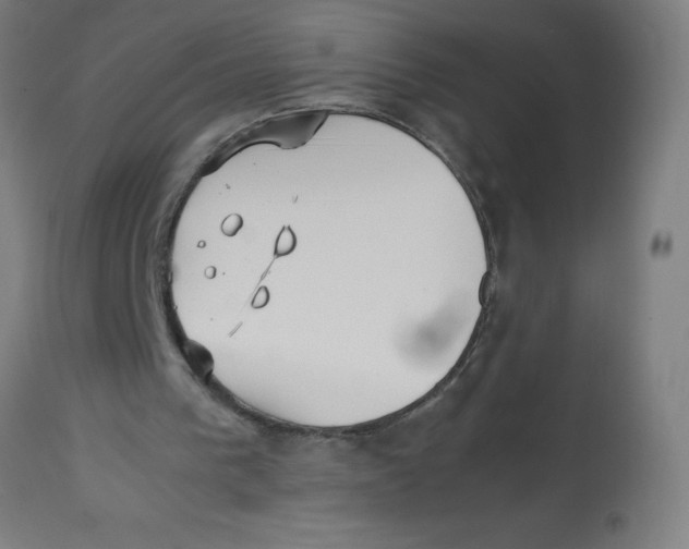 X0000113220193200910081349