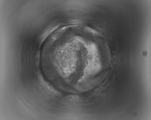 X0000113220194200910081349