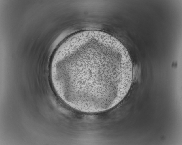 X0000113220195200910081349
