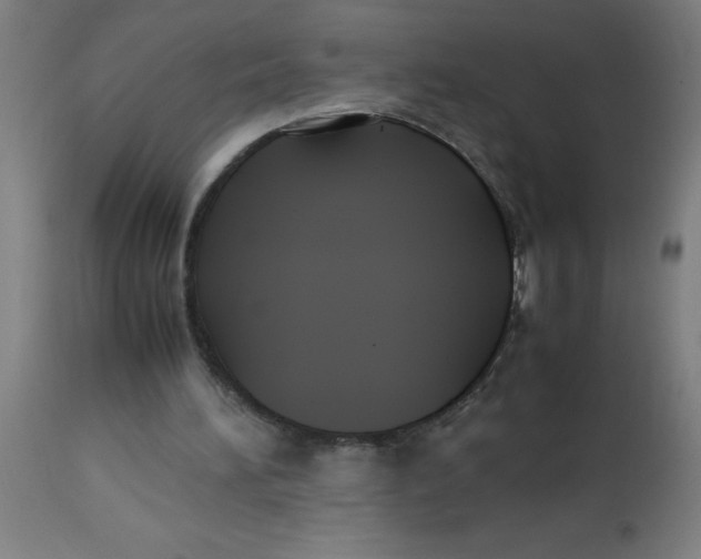 X0000113220196200910081349