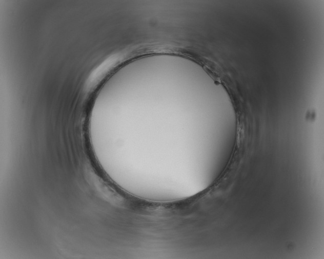 X0000113220197200910081349