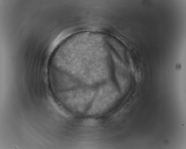 X0000113220198200910081349