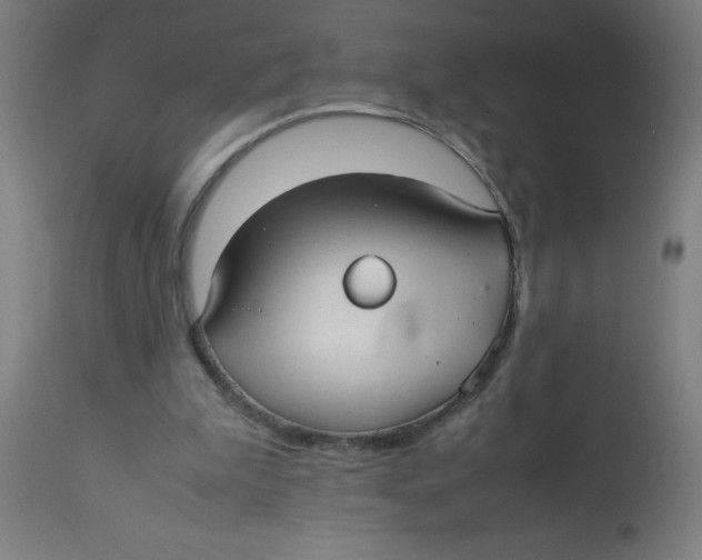 X0000113220199200910081349