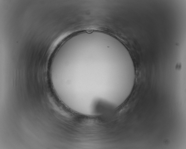 X0000113220200200910081349