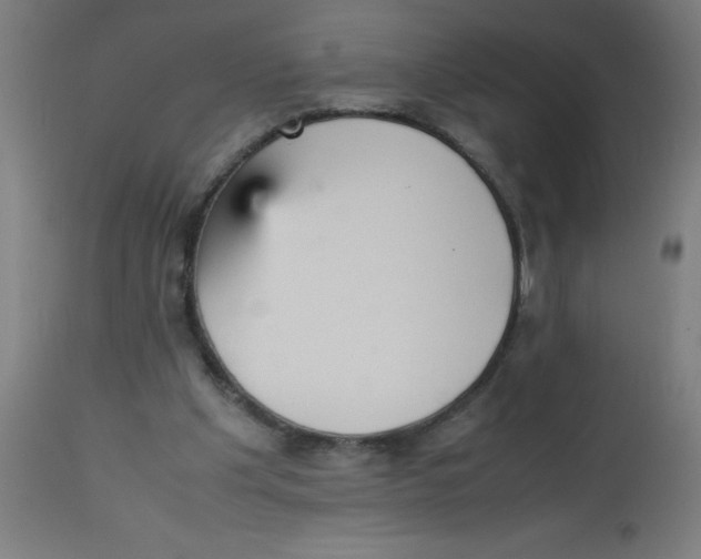 X0000113220201200910081349