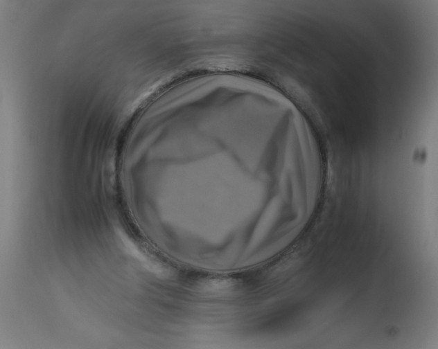 X0000113220202200910081349