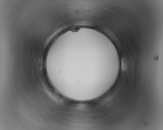X0000113220204200910081349