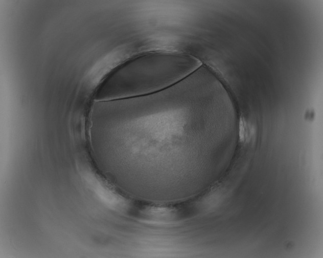 X0000113220205200910081349