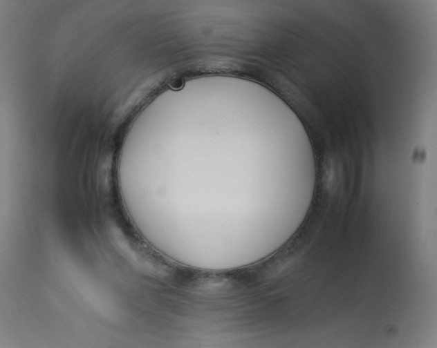 X0000113220206200910081349