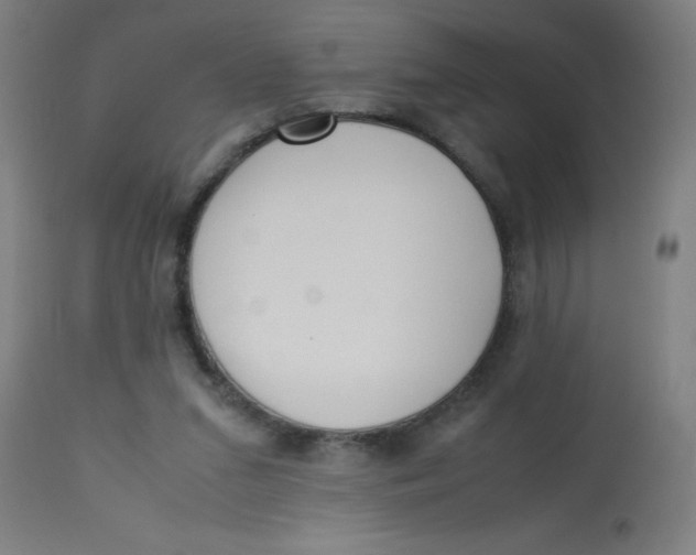 X0000113220207200910081349