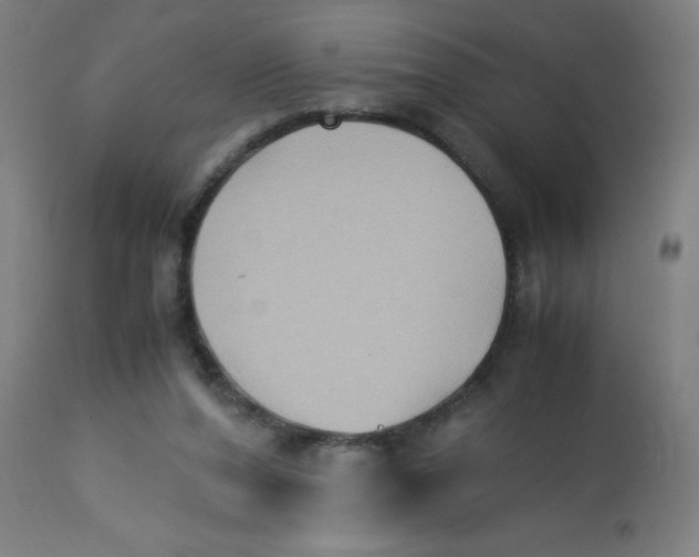 X0000113220208200910081349