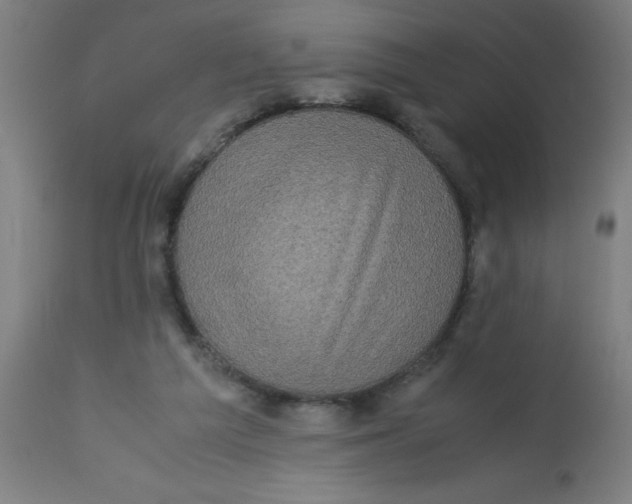 X0000113220209200910081349