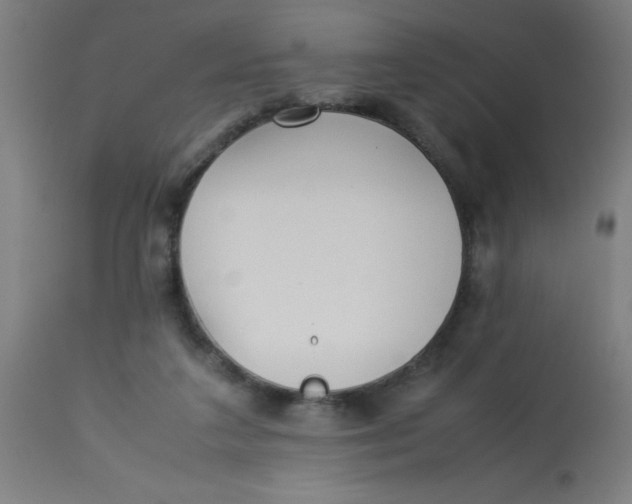 X0000113220211200910081349