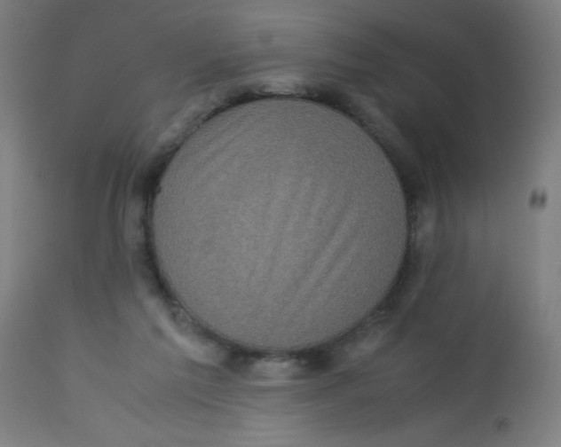X0000113220213200910081349