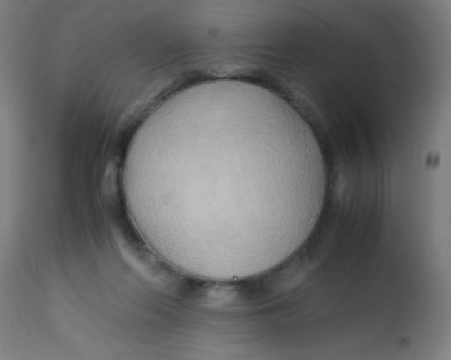 X0000113220214200910081349