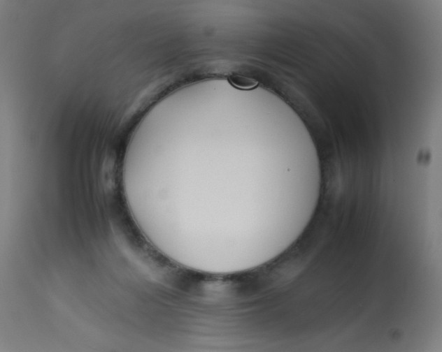 X0000113220216200910081349