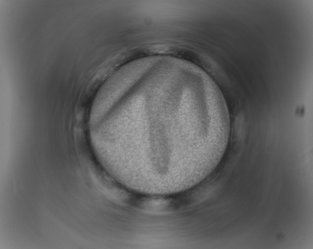 X0000113220217200910081349