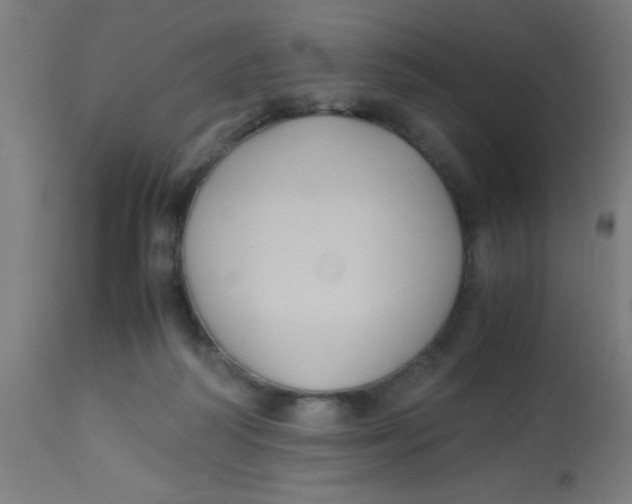 X0000113220218200910081349