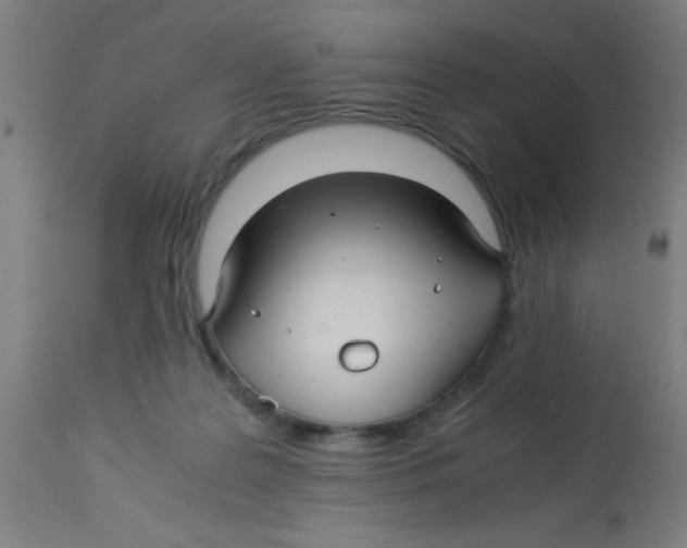 X0000113220219200910081349