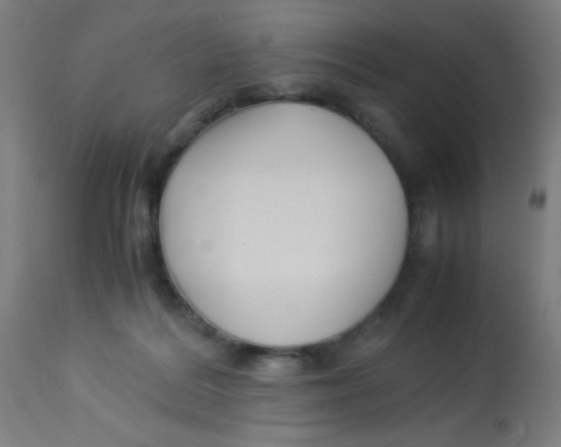 X0000113220220200910081349