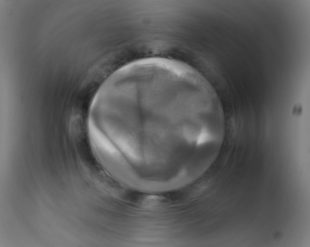 X0000113220222200910081349