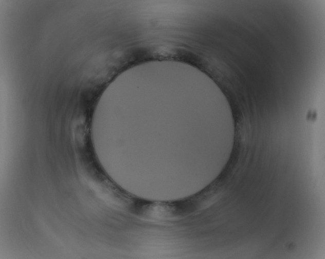 X0000113220223200910081349
