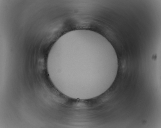 X0000113220224200910081349