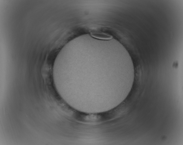 X0000113220225200910081349