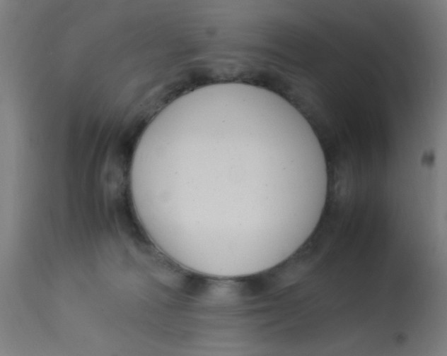 X0000113220226200910081349