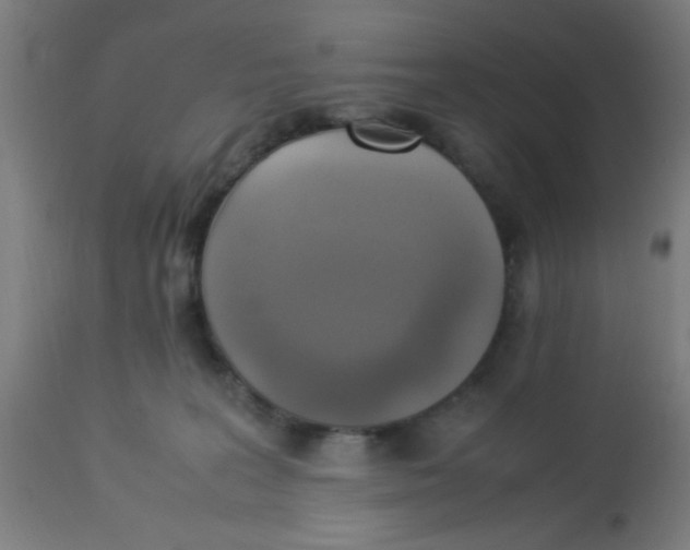X0000113220227200910081349