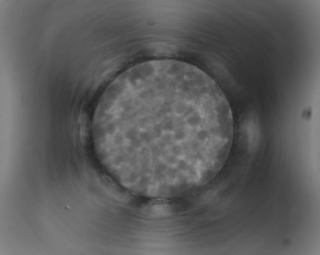 X0000113220228200910081349