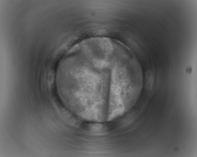 X0000113220230200910081349